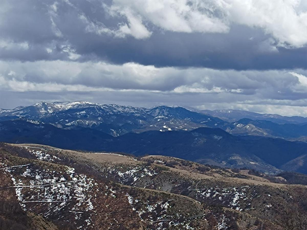 Kuca Za Odmor "Djurovic" Apartamento Kopaonik Exterior foto